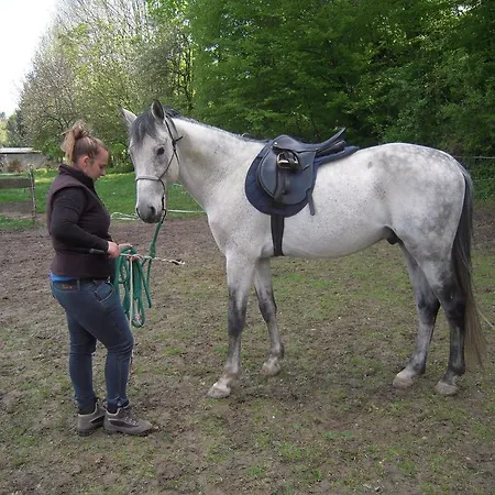 Soerenyes Udvarhaz Penzesgyor