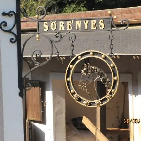 Soerenyes Udvarhaz Penzesgyor