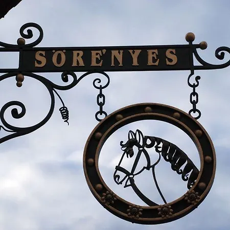 Soerenyes Udvarhaz