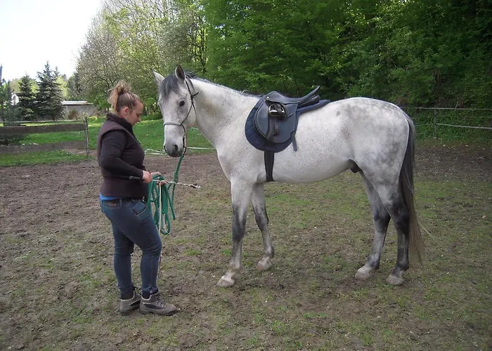 Soerenyes Udvarhaz Penzesgyor