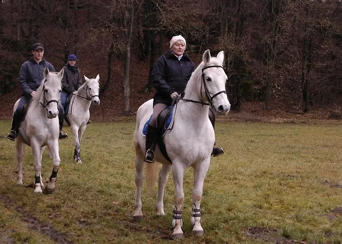 Lejlighed Soerenyes Udvarhaz *