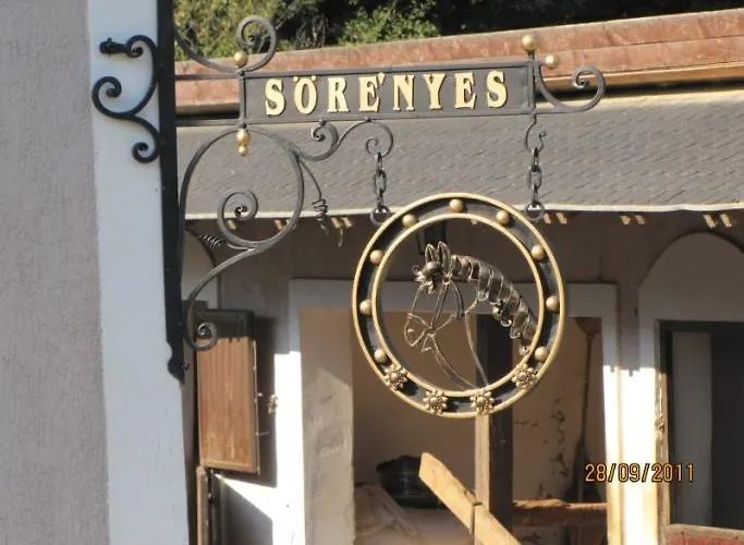 Soerenyes Udvarhaz Penzesgyor